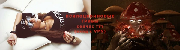 spice Гусиноозёрск