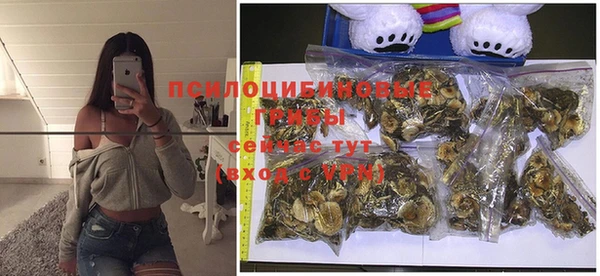 spice Гусиноозёрск
