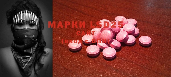spice Гусиноозёрск