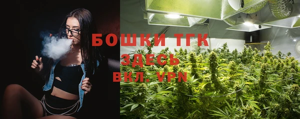 spice Гусиноозёрск
