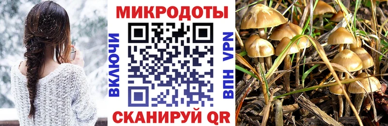 что такое наркотик  ОМГ ОМГ ONION  Псилоцибиновые грибы Psilocybine cubensis  Калачинск 